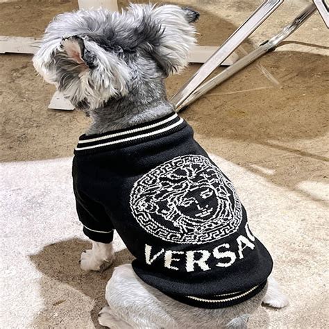 versace dog clothes